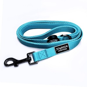 Joyride Harness Premium Matching Dog Leash - 1 of 4