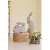 Rustic Spring Rabbits – Set of 2 Metal Figurines 29 Inch Home Decor by Kalalou - 3 of 4