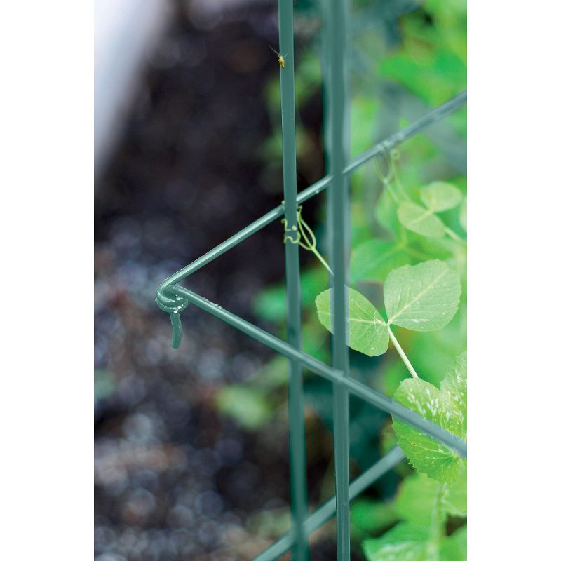Expandable Pea Trellis, 9'-8" L x 37" H Installed Steel Trellises for Garden Plants Support, 4 of 5