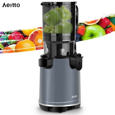Gray Electric Masticating Juicer with Large Capacity
