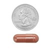Spring Valley Red Yeast Rice Dietary Supplement, 600 mg, 120 Count - 3 of 4