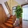 Gulches 71in Artificial Fiddle Tree in Planter 232 Green PE Leaves 71in Tall Indoor Outdoor Faux Plant - 4 of 4