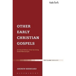 Other Early Christian Gospels - (Library of New Testament Studies) by  Andrew Bernhard (Paperback) - 1 of 1
