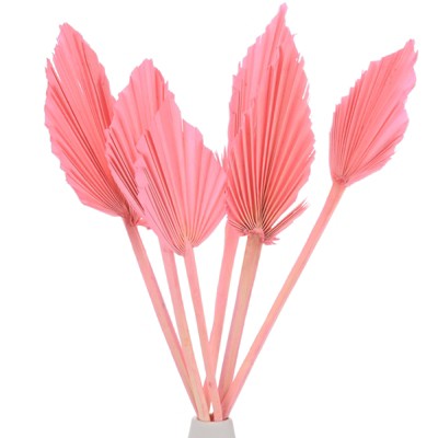 Unique Bargains Dried Natural Boho Palm Leaf Bulk