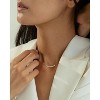Bearfruit Jewelry Sterling Silver 18k Gold Plated Josephine Curved Bar Necklace - 3 of 4