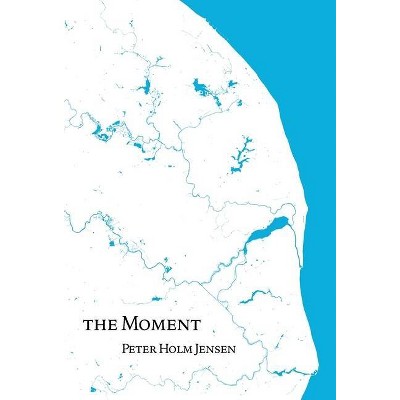 The Moment - by  Peter Holm Jensen (Hardcover)