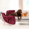 PiccoCasa 330 GMS Microfiber Polyester Luxury Flannel Fleece Soft Bed Blankets - 3 of 4