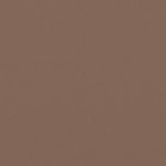 brown / brown solid