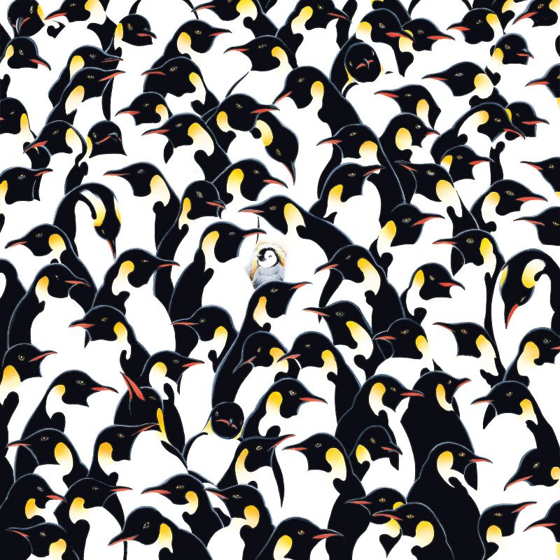 TDC Games World's Most Difficult Jigsaw Puzzle - Penguins - 500 pieces - Double Sided with one side turned 90 degrees - 15 inches when assembled, 2 of 3