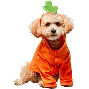 Rubies Carrot Cutie Pet Costume - 1 of 4