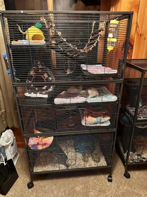 Guest review image 1 of 5, zoom in