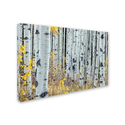 Trademark Fine Art -Pierre Leclerc 'Forest of Aspens' Canvas Art