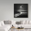 Trademark Fine Art -Yucel Basoglu 'Covered Light' Canvas Art - 3 of 3