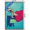 Trends International DC Comics Movie - Birds Of Prey - Heart Framed Wall Poster Prints - 3 of 4