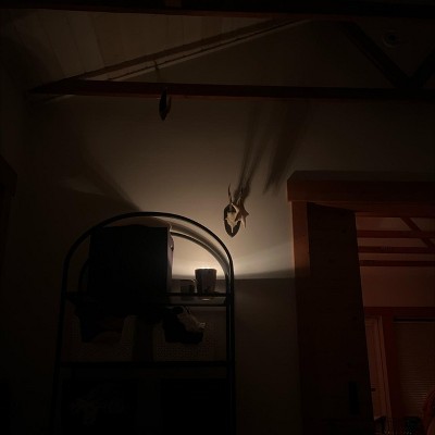Guest review image 1 of 2, zoom in