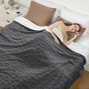 Heating Pads, Soft Washable Electric Blanket, Heating Blanket for Bedding, With 10 Heat Settings, Use for Sofa and Bed - 3 of 4