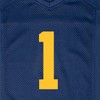 NCAA Michigan Wolverines Toddler Boys' Jersey - 3 of 3