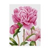 Trademark Fine Art -Grace Popp 'Winsome Peonies Ii' Canvas Art - 2 of 4