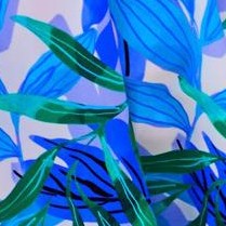 peri leaves