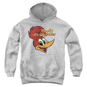 Boys’ Woody Woodpecker Retro Logo Hooded Sweatshirt - 1 of 4