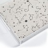 Iveta Abolina Starry Night II Acrylic Tray - Deny Designs - 3 of 4