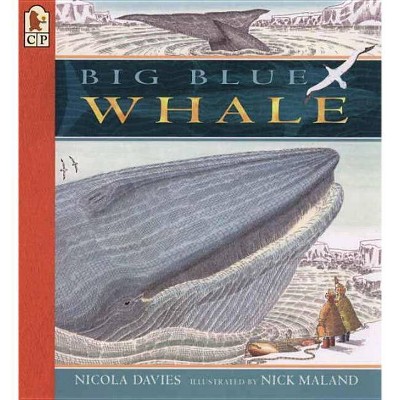 Big Blue Whale - (Read and Wonder (Paperback)) by  Nicola Davies (Paperback)