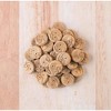 Earthborn Holistic EarthBites Bison & Pumpkin Grain-Free Crunchy Dog Treats - 10 oz - 2 of 4