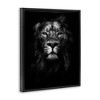 Stupell Industries Lion In Shadows Photography Floating Frame Canvas Art, Black, 17" x 21" - 2 of 4
