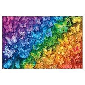 Trends International Brigid Ashwood - Rainbow Butterflies Framed Wall Poster Prints - 1 of 4