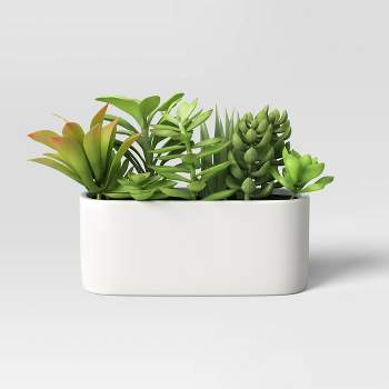 Artificial Succulents in Long Pot White - Threshold™