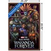 Trends International Marvel Black Panther: Wakanda Forever - Group Framed Wall Poster Prints - 3 of 4