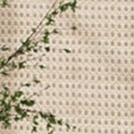 dark coffee gold beads