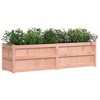 vidaXL Garden Planter Outdoor Flower Box for Climbing Plants-Solid Wood Douglas, Rectangular, 70.9"x19.7"x19.7", Brown/Natural - 4 of 4