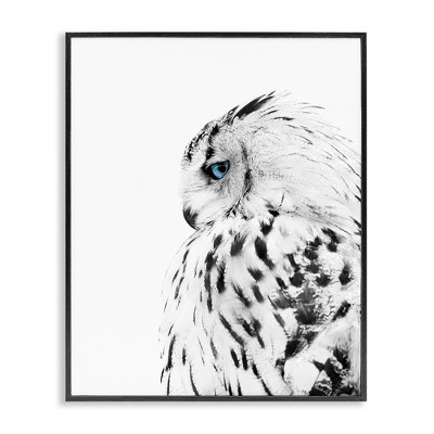 Stupell Industries Snow Owl Peering Blue Eyes Framed Giclee Art