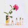 Good Chemistry™ Women's Eau De Parfum Perfume - Queen Bee - 1.7 fl oz - image 3 of 4