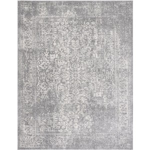 Evoke EVK256 Power Loomed Indoor Rugs - Safavieh - 1 of 4