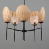 Maxim Lighting Maldives 5 - Light Chandelier in  Black - 2 of 4