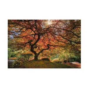 Trademark Fine Art -Moises Levy 'The Tree Horizontal' Canvas Art - 1 of 4