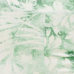 psychedelic palm c01