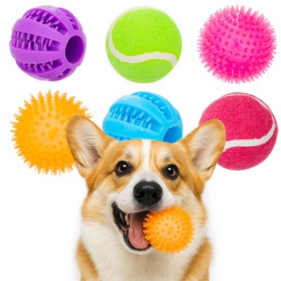 Pacific Pups Products - Dog Toy Balls 6 Pack - Variety Pack of Balls for Dogs - Dog Balls for Fetch