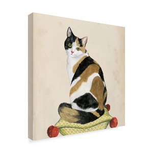 Trademark Fine Art -Grace Popp 'Lady Cat Iii' Canvas Art - 1 of 4
