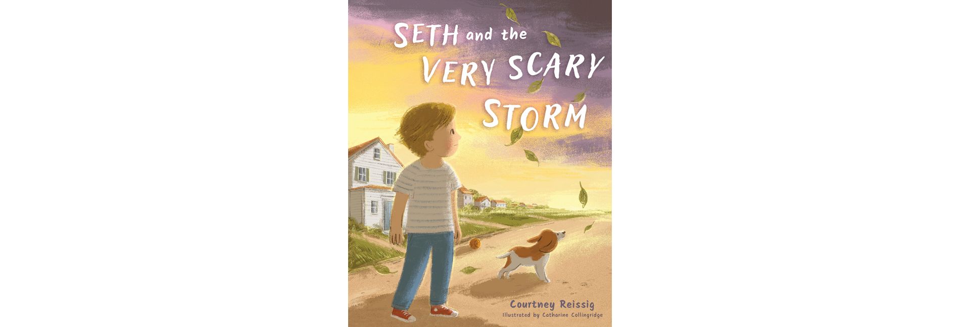 Seth and the Very Scary Storm - by  Courtney Reissig (Hardcover)