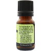 Plantlife Coriander Aromatherapy Essential Oil – 100% Pure, Therapeutic Grade, No Additives or Fillers, 10 ml - 2 of 2