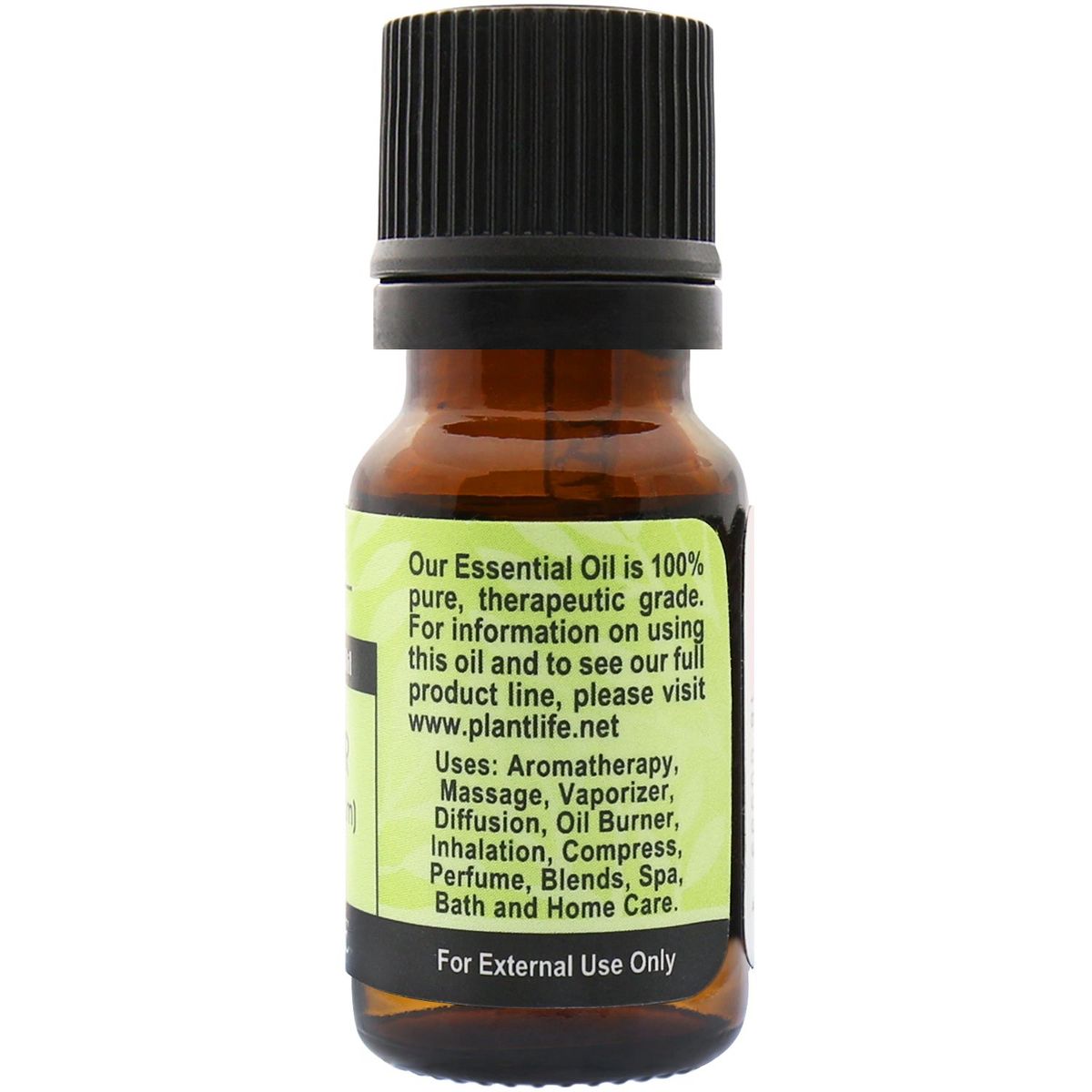 Plantlife Coriander Aromatherapy Essential Oil – 100% Pure, Therapeutic Grade, No Additives or Fillers, 10 ml - thumbnail 2