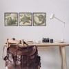 Stupell Industries Starfish & Sea Shells Distressed, 12" x 12" - 2 of 4