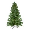 Northlight Real Touch™️ Pre-Lit Medium Mountain Blanc Fir Artificial Christmas Tree - 7.5' - Dual Color LED - 2 of 4