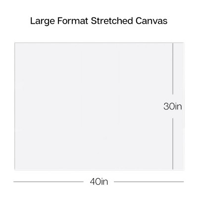 KINGART Stretched Canvas 30x40 2 pc