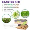 HAMAMA Microgreens Growing Kit - Sprouts Growing Kit, Grow Microgreens Indoor, Microgreens Starter Kit with CERAMIC Tray - 2 of 4