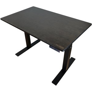 Rise Up - electric adjustable height standing desk - 1 of 4