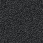 florida state seminoles